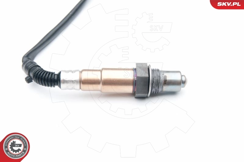 Oxygen Sensor